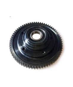 Alternative view of Bafang big metal gear